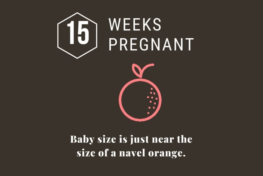 15 Weeks Pregnant: Your Baby Is Growing Rapidly