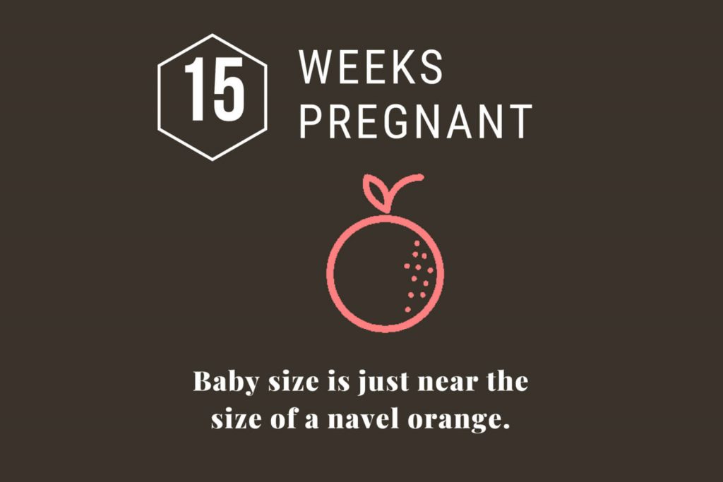 15-Weeks-Pregnant-Hero-Image-Navel-Orange