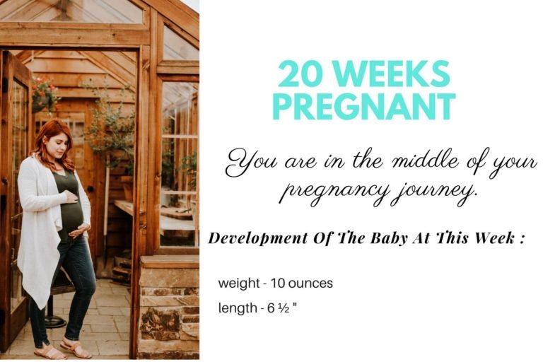 20 Weeks Pregnant Halfway Through Your Journey! Babies Carrier