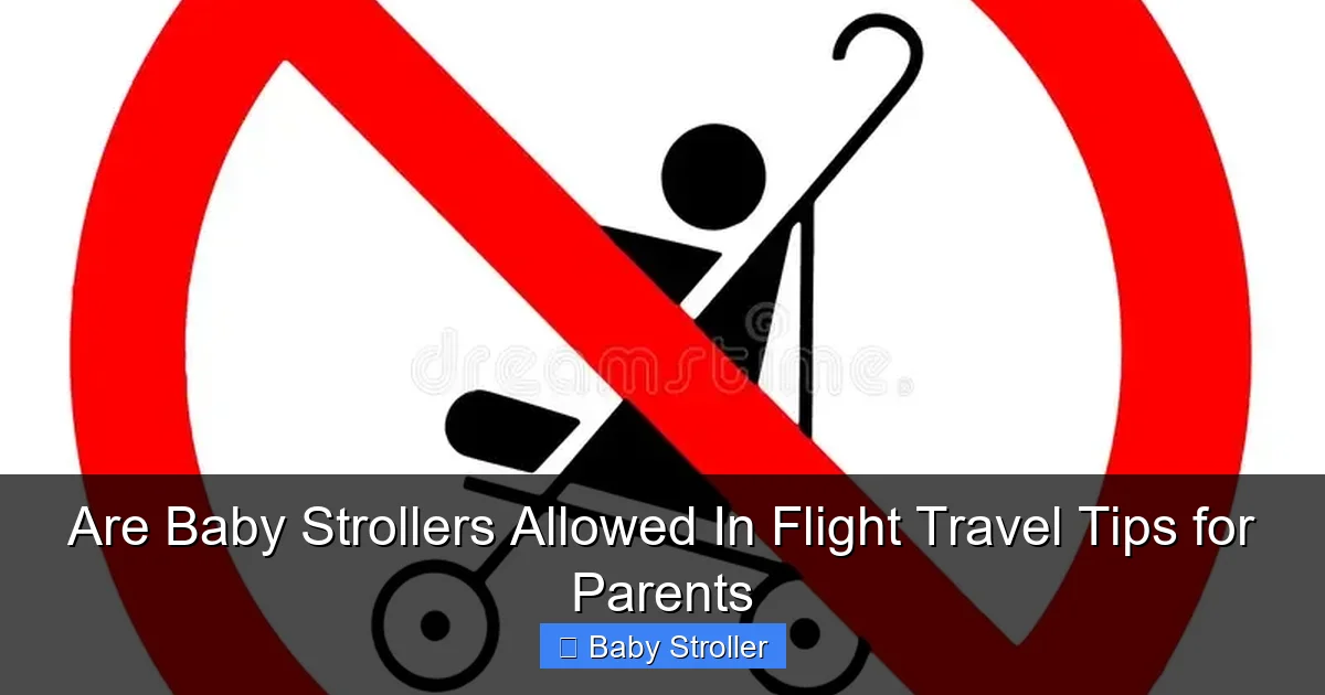 Are Baby Strollers Allowed In Flight Travel Tips for Parents