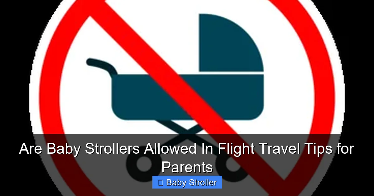 Are Baby Strollers Allowed In Flight Travel Tips for Parents