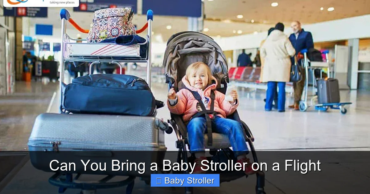 Can You Bring a Baby Stroller on a Flight