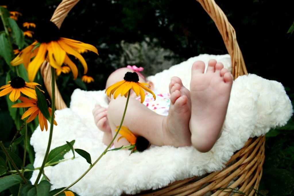Are Moses Baskets Safe for Newborns? A Guide for New Parents
