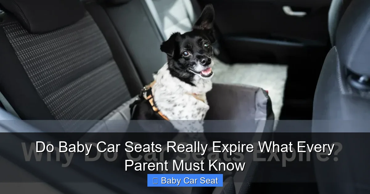 Do Baby Car Seats Really Expire What Every Parent Must Know