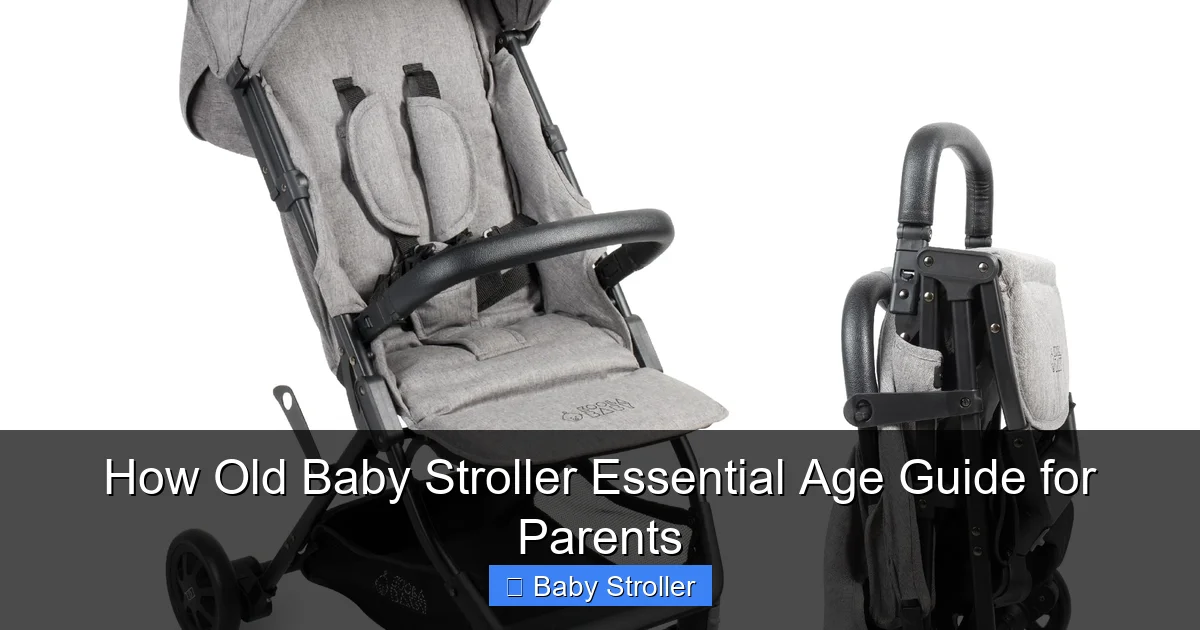 How Old Baby Stroller Essential Age Guide for Parents