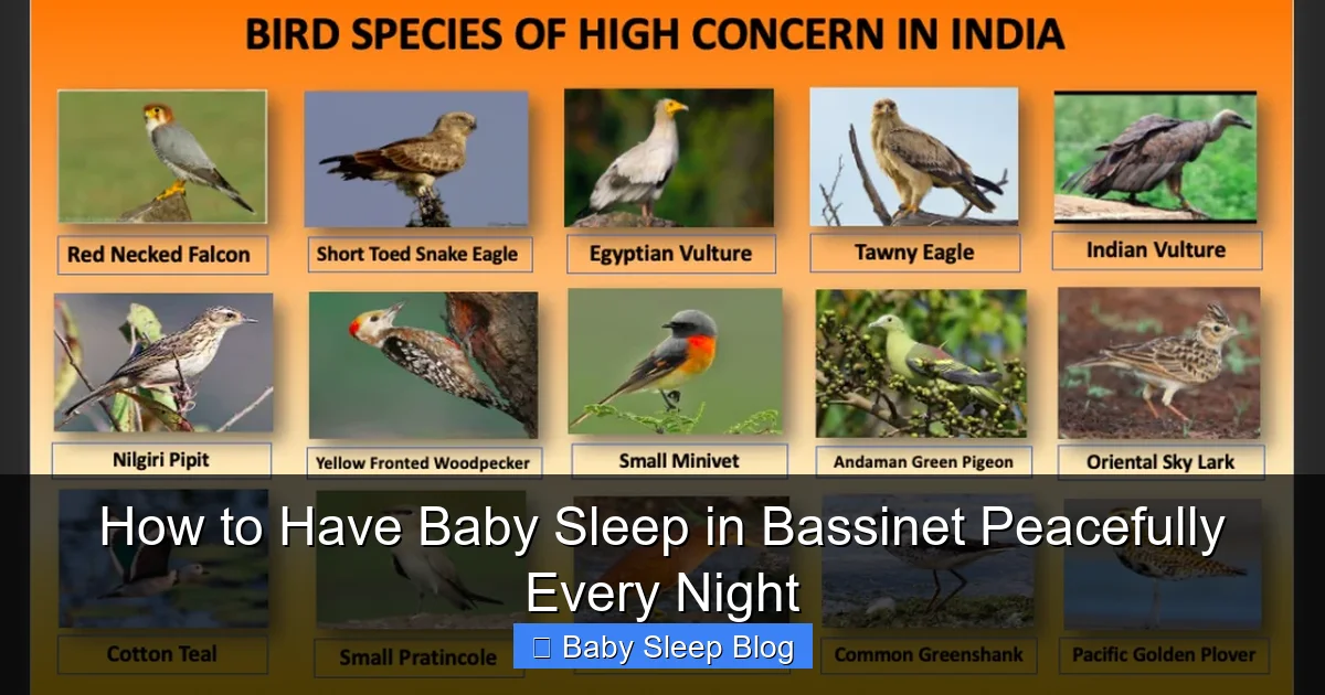 How to Have Baby Sleep in Bassinet Peacefully Every Night