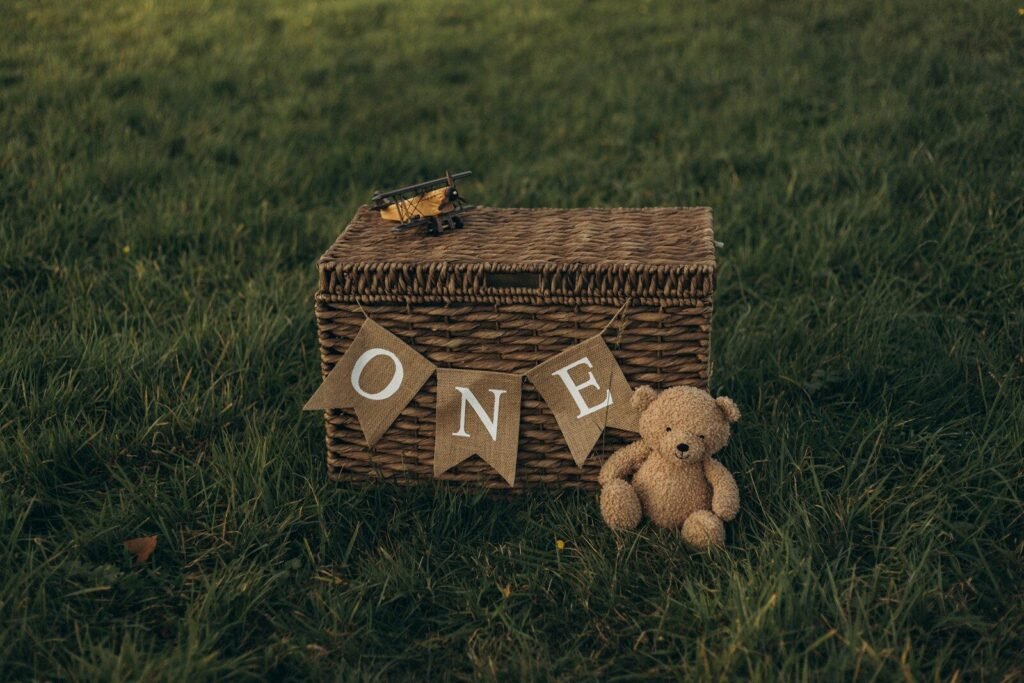 Choosing the Right Moses Basket Stand