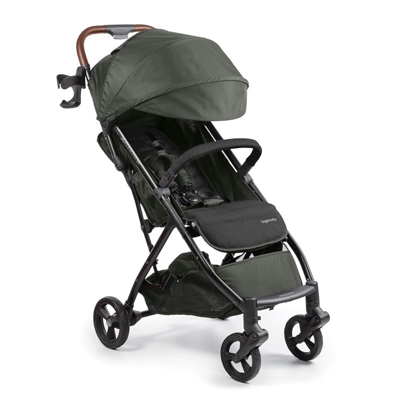 Ingenuity 3Dquickclose CS+ Lightweight Stroller with Oversized Canopy 