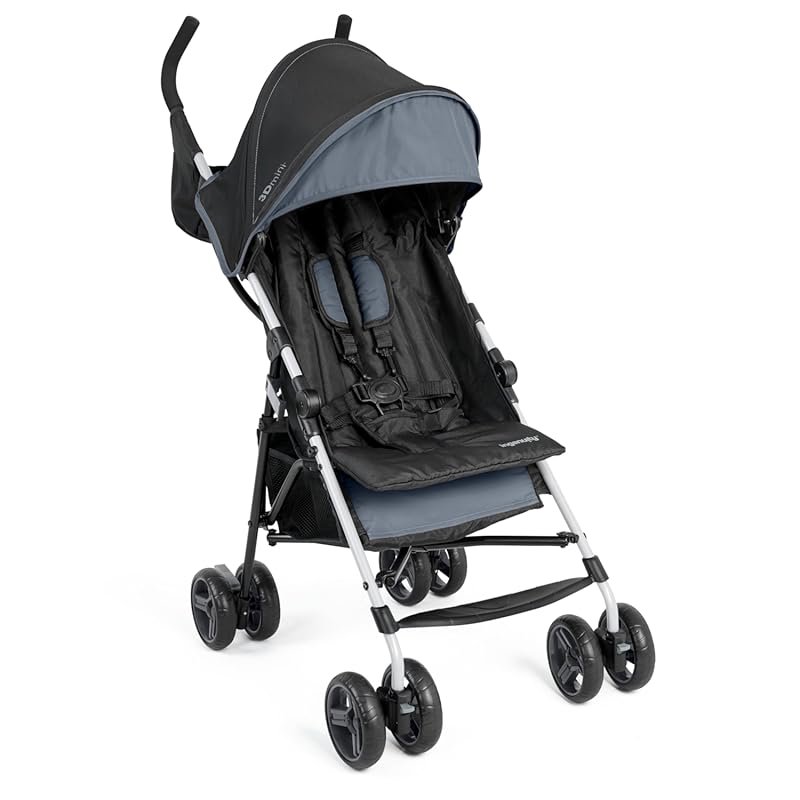 Ingenuity 3D Mini Stroller Slate Grey