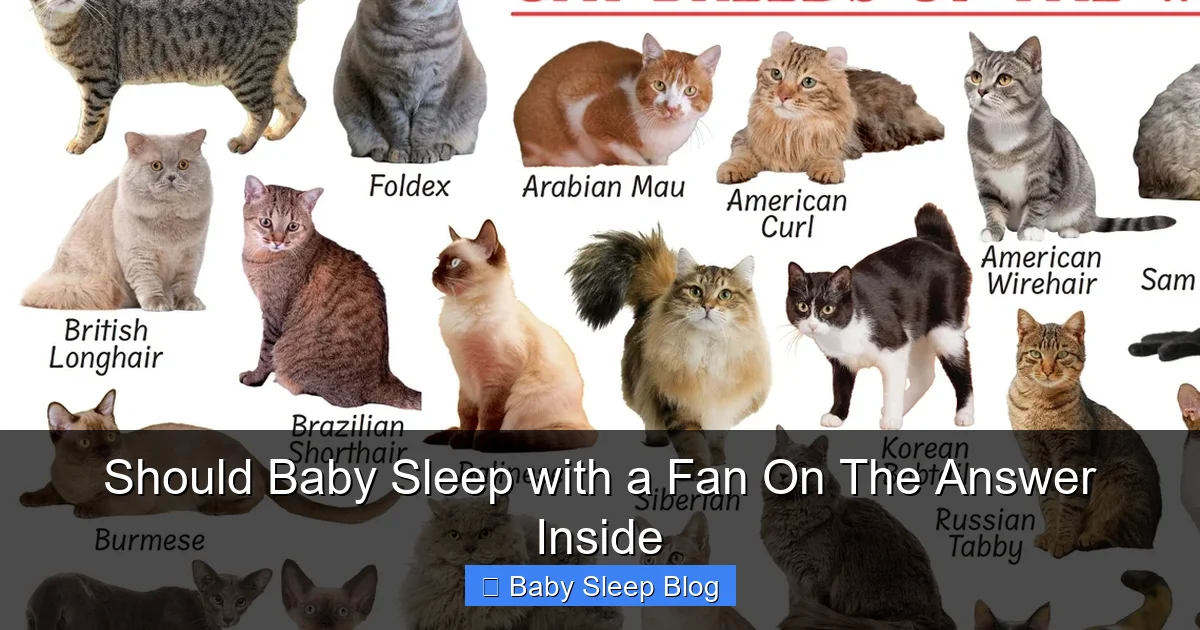 Should Baby Sleep with a Fan On The Answer Inside