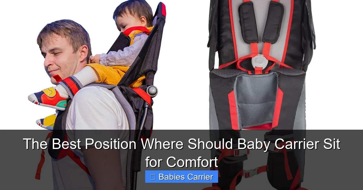 The Best Position Where Should Baby Carrier Sit for Comfort