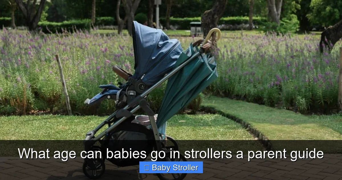 What age can babies go in strollers a parent guide