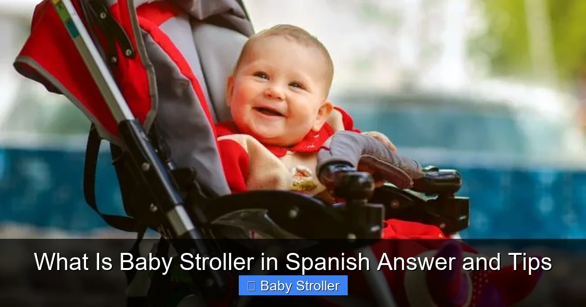 What Is Baby Stroller in Spanish Answer and Tips