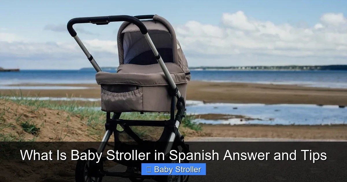 What Is Baby Stroller in Spanish Answer and Tips