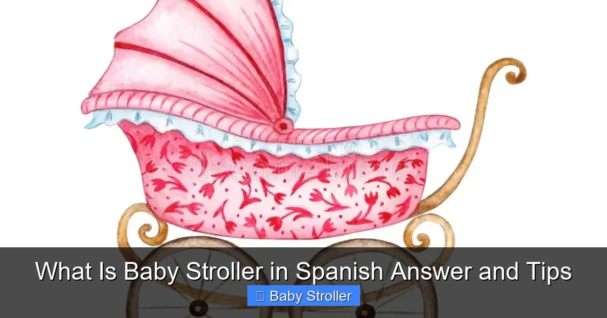What Is Baby Stroller in Spanish Answer and Tips