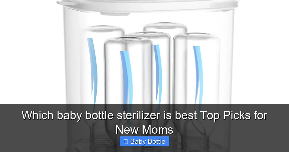 Which baby bottle sterilizer is best Top Picks for New Moms