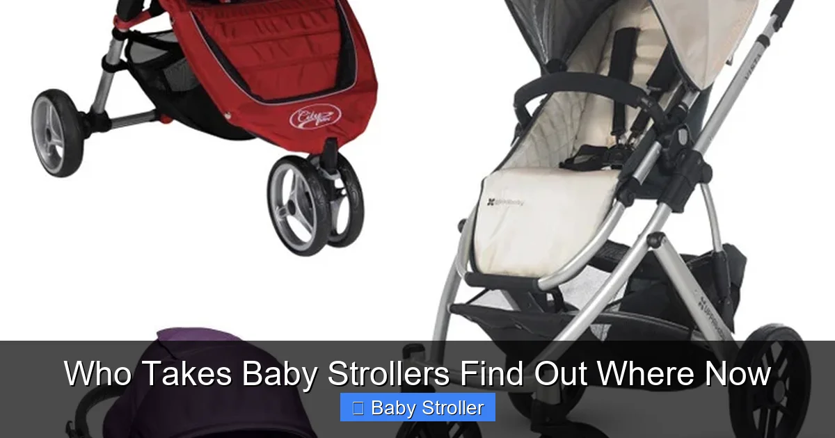 Who Takes Baby Strollers Find Out Where Now