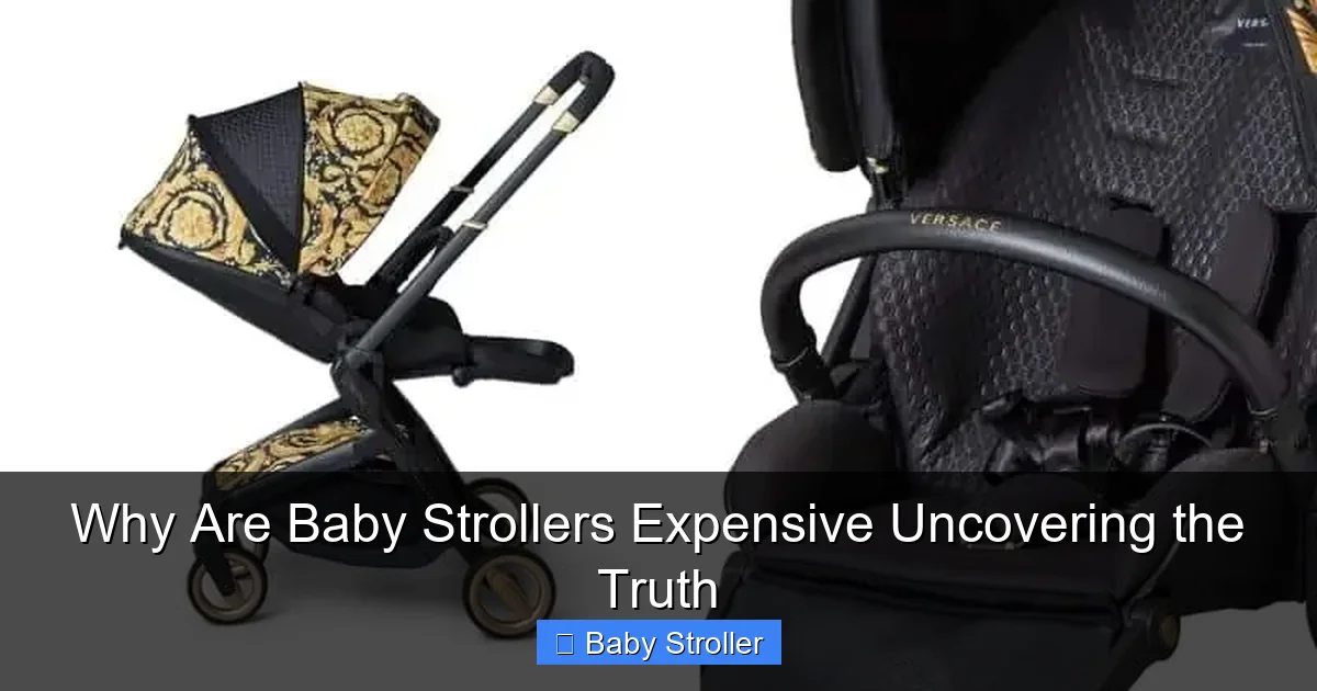Why Are Baby Strollers Expensive Uncovering the Truth