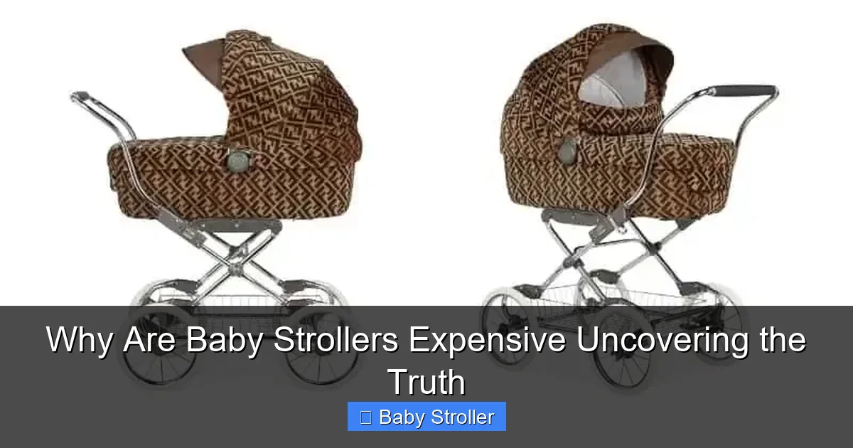 Why Are Baby Strollers Expensive Uncovering the Truth