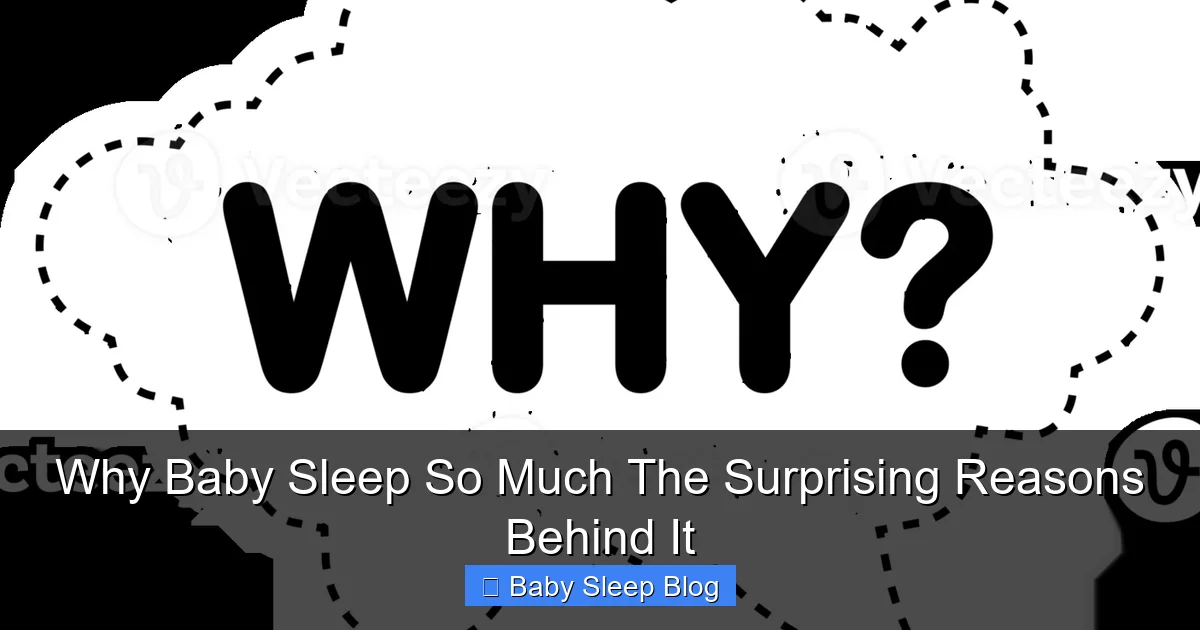 Why Baby Sleep So Much The Surprising Reasons Behind It