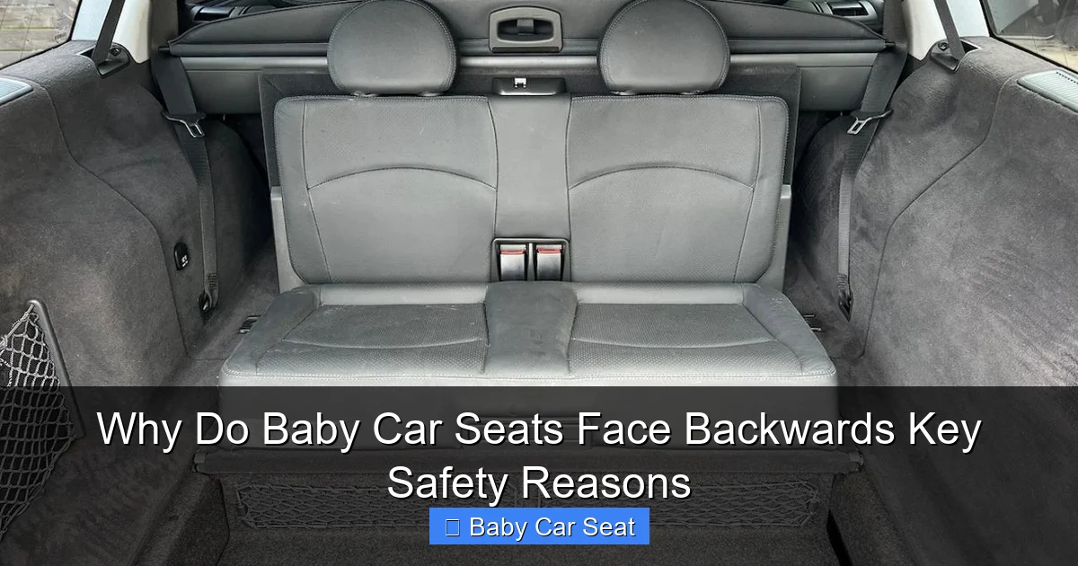 Why Do Baby Car Seats Face Backwards Key Safety Reasons